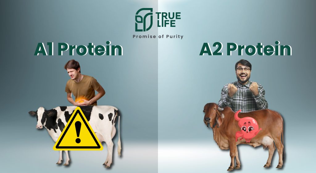 Fresh A2 Gir cow milk